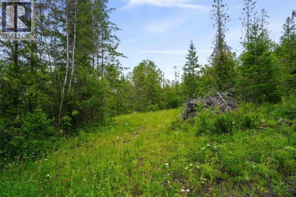Ph 3 Tatlow Road Se Lot# 4, Salmon Arm, BC V1E2P8 Photo 5