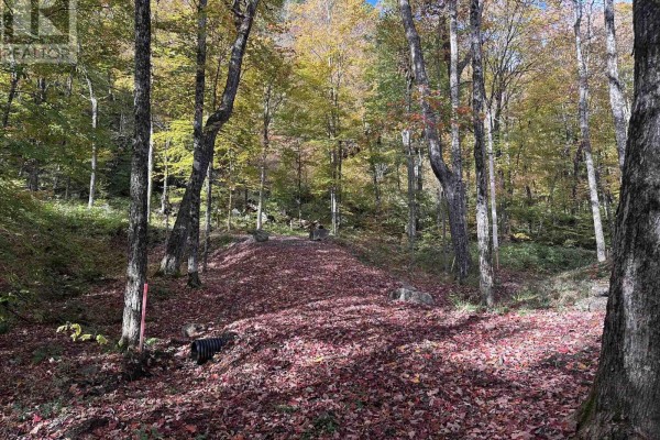 Pin 48064-0345 Sugar Bush Road, Lake Of Bays, ON P0A1H0 Photo 5