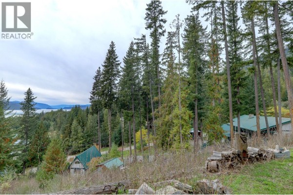 Pine Avenue Lot# 80, Anglemont, BC V0E1M8 Photo 4