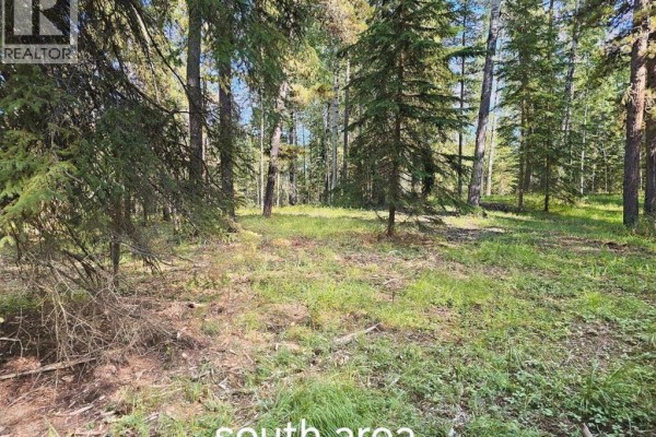 Pine Ridge Alley, Rural Clearwater County, AB T4T1A7 Photo 2