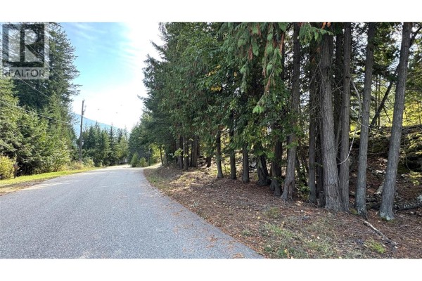 View down a paved road lined with tall evergreen trees. - Pine Ridge Road Lot# Lot 31, Kaslo