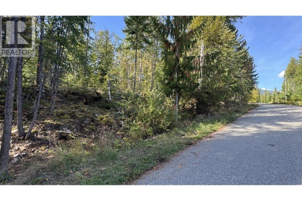 A slightly sloped wooded lot with trees and brush next to a paved road. - Pine Ridge Road Lot# Lot 31, Kaslo