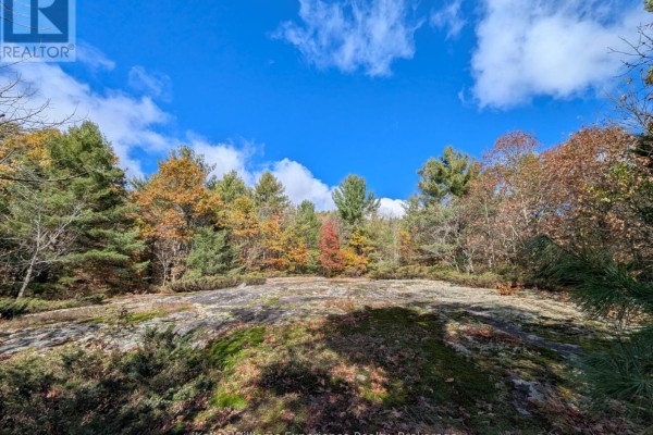 Pl20 Langford Road, Lake Of Bays, ON, photo 3