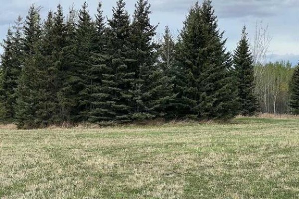 Plan:9720341 Lot:3, Grande Prairie, AB T8W2R7 Photo 3