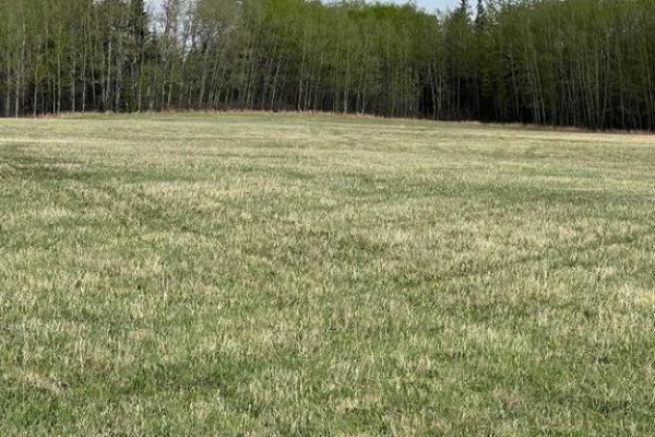 Plan:9720341 Lot:3, Grande Prairie, AB T8W2R7 Photo 4
