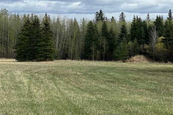 Plan:9720341 Lot:3, Grande Prairie, AB T8W2R7 Photo 5