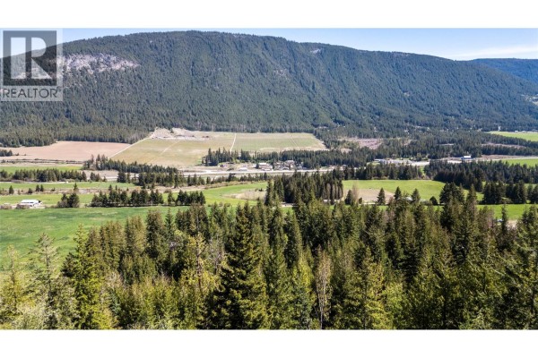 Looking across a forested area towards a valley with agricultural fields and buildings. - Planned Lot 2 Tappen Notch Hill Road, Tappen