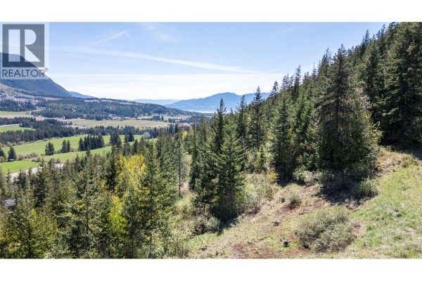 Sloping wooded hillside with evergreen trees and a distant view of a valley and mountains. - Planned Lot 2 Tappen Notch Hill Road, Tappen
