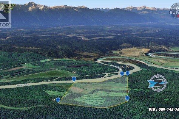 Pob Fsr/morkill Fs Road, Dome Creek, BC V0J1H0 Photo 5