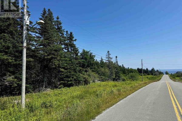 Pondville South Road, Pondville, NS B0E1K0 Photo 5