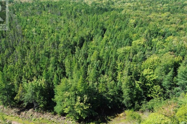 Port Malcolm Road, Grantville, NS B9A1Z6 Photo 2