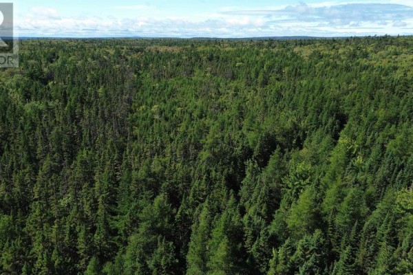 Port Malcolm Road, Grantville, NS B9A1Z6 Photo 3