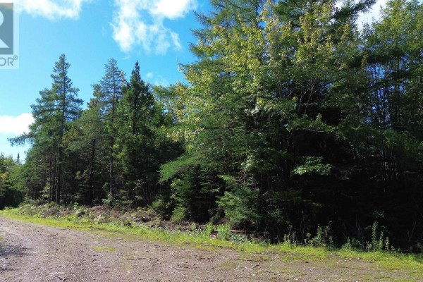 Port Malcolm Road, Grantville, NS B9A1Z6 Photo 5