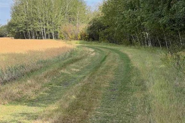 Portion Of Ne 2 74 9 W6 & Nw 2 74 9 W6, La Glace, AB T0H2J0 Photo 5