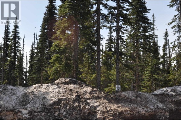 Pr. St Lt 15 Alpine Way, Smithers, BC V0J2N0 Photo 4