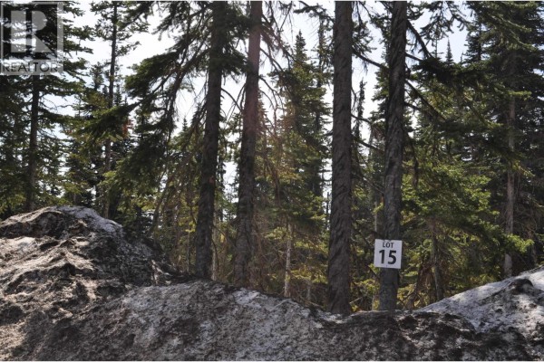 Pr. St Lt 15 Alpine Way, Smithers, BC V0J2N0 Photo 5