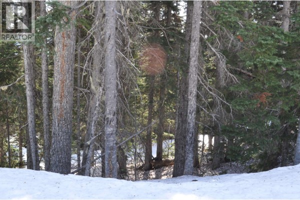 Pr. St Lt 8 Alpine Way, Smithers, BC V0J2N0 Photo 4