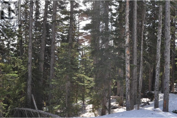 Pr. St Lt 8 Alpine Way, Smithers, BC V0J2N0 Photo 5