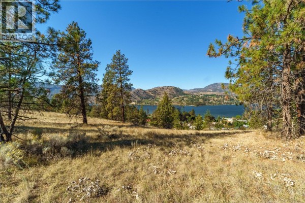 Prpsd Lt 1 47 Street, Okanagan Falls, BC V0H1R5 Photo 2
