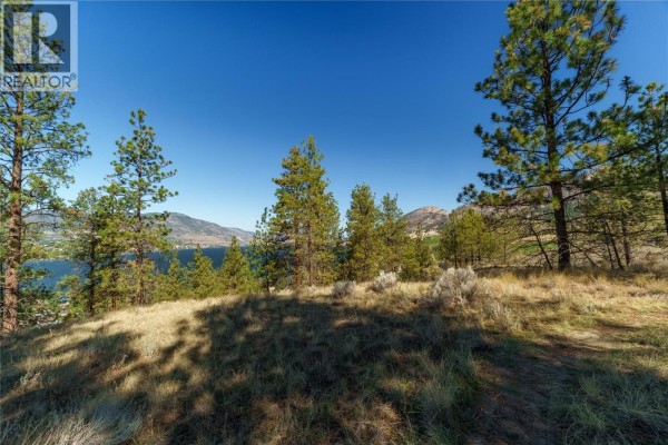 Prpsd Lt 1 47 Street, Okanagan Falls, BC V0H1R5 Photo 4
