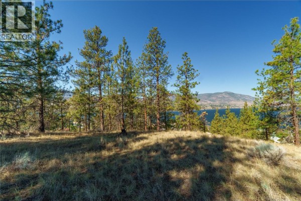 Prpsd Lt 1 47 Street, Okanagan Falls, BC V0H1R5 Photo 5