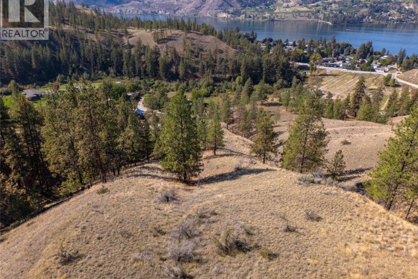 Prpsd Lt 2 47 Street, Okanagan Falls, BC V0H1R5 Photo 2