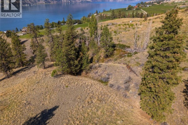 Prpsd Lt 2 47 Street, Okanagan Falls, BC V0H1R5 Photo 3