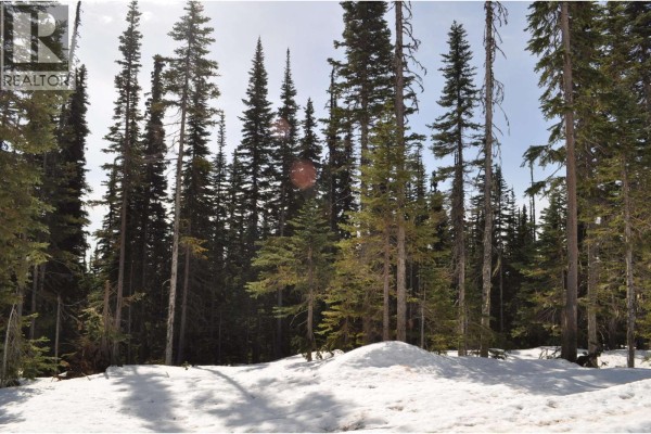 Pst Lot-12 Alpine Way, Smithers, BC V0J2N0 Photo 4