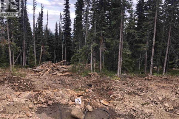 Pst Lot-12 Alpine Way, Smithers, BC V0J2N0 Photo 5
