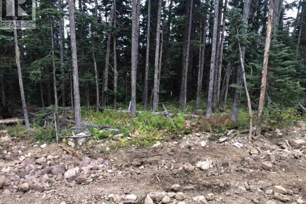 Pst Lot-9 Alpine Way, Smithers, BC V0J2N0 Photo 4