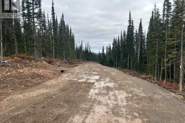 Pst Lot-9 Alpine Way, Smithers, BC V0J2N0 Photo 5