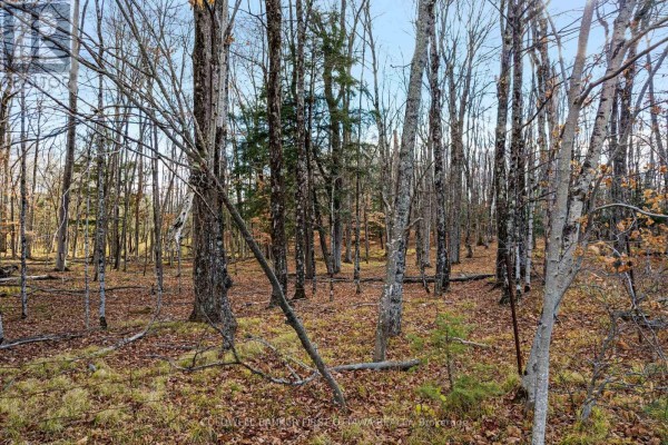 Pt 1-00 Herron Mills Road, Lanark Highlands, ON, photo 3