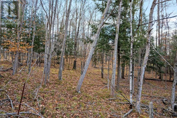 Pt 1-00 Herron Mills Road, Lanark Highlands, ON K0G1K0 Photo 4