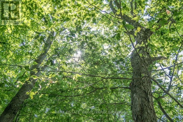 Pt 1 Boyce Road, Alnwick/haldimand, ON, photo 3