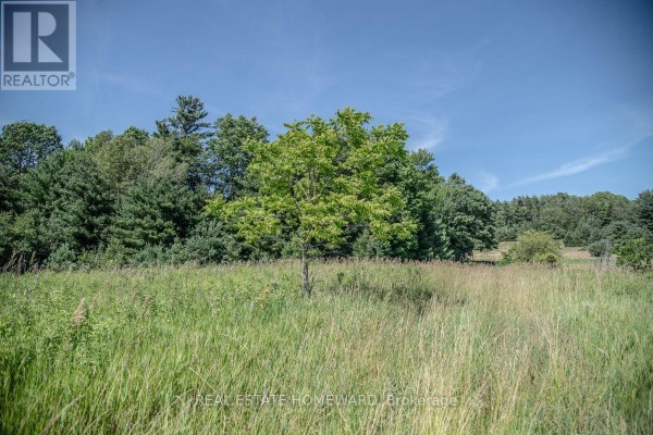 Pt 1 Boyce Road, Alnwick/haldimand, ON K0K1S0 Photo 4