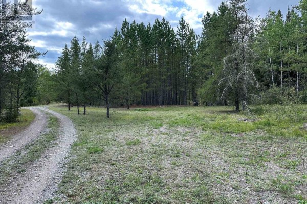 Pt 19 & 20 Silver Falls Road, Thunder Bay Remote Area, ON P0T1X0 Photo 4