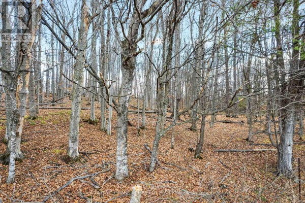 Pt 2-00 Herron Mills Road, Lanark Highlands, ON, photo 3