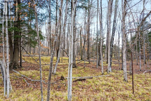 Pt 2-00 Herron Mills Road, Lanark Highlands, ON K0G1K0 Photo 4