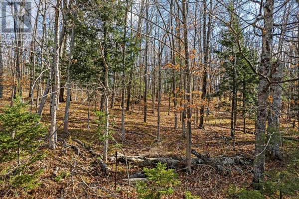 Pt 3-00 Herron Mills Road, Lanark Highlands, ON, photo 3