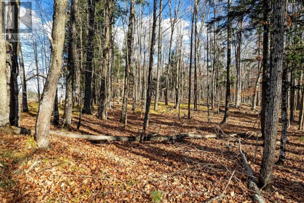 Pt 3-00 Herron Mills Road, Lanark Highlands, ON K0G1K0 Photo 4