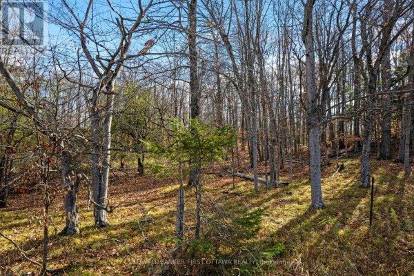Pt 3-00 Herron Mills Road, Lanark Highlands, ON K0G1K0 Photo 5