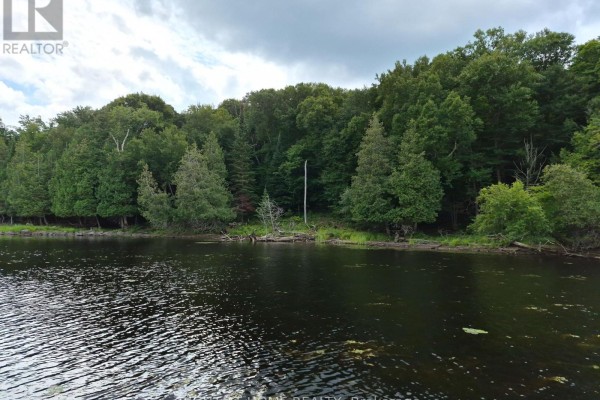 Dense green forest lining the water's edge with a fallen tree trunk visible. - Pt 3 Shadows End Lane, Magnetawan