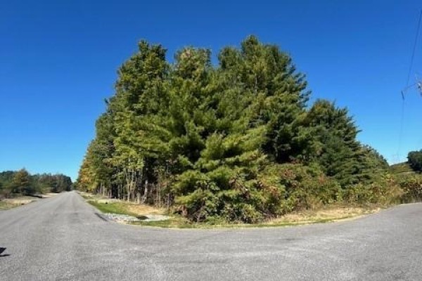 Pt 33a & Pt 33b Autumn Road N, Trent Hills, ON, photo 2