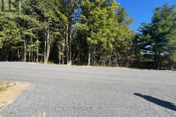 Pt 33a & Pt 33b Autumn Road N, Trent Hills, ON K0K3K0 Photo 4