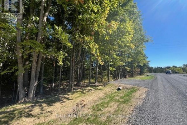 Pt 33a & Pt 33b Autumn Road N, Trent Hills, ON K0K3K0 Photo 5