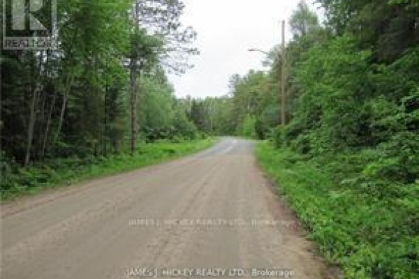 Pt Lot 49 Old Moore Lake Road, Laurentian Hills, ON K0J2H0 Photo 2