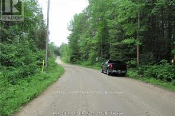 Pt Lot 49 Old Moore Lake Road, Laurentian Hills, ON K0J2H0 Photo 3
