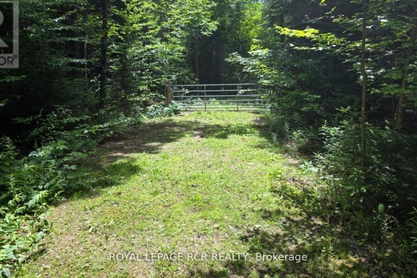 1414 Madill Road, Highlands East, ON K0M1R0 Photo 2