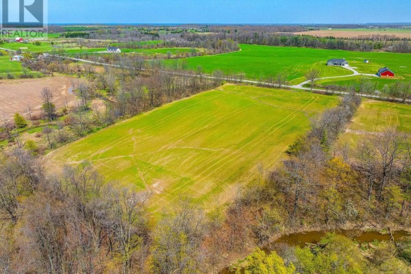 A large green field with young crops and tire tracks stretches towards a tree line; a bird flies in the sky. - Pt Lot 7 Con 9 Tintern Road, Lincoln