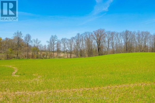 Aerial view of a large green field with crops and tire tracks, bordered by trees and a blue sky. - Pt Lot 7 Con 9 Tintern Road, Lincoln